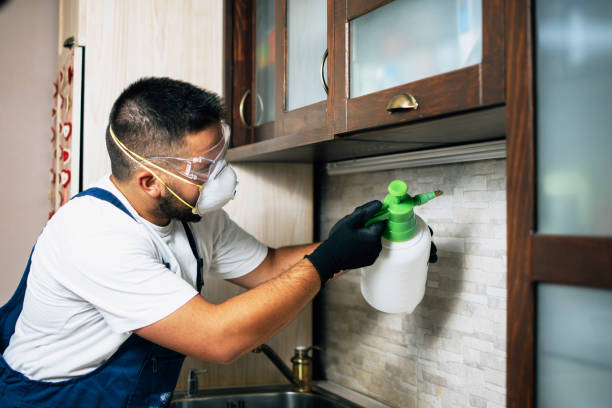 Best Pest Prevention Services  in Navesink, NJ