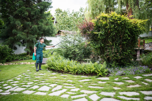 Best Emergency Pest Control  in Navesink, NJ