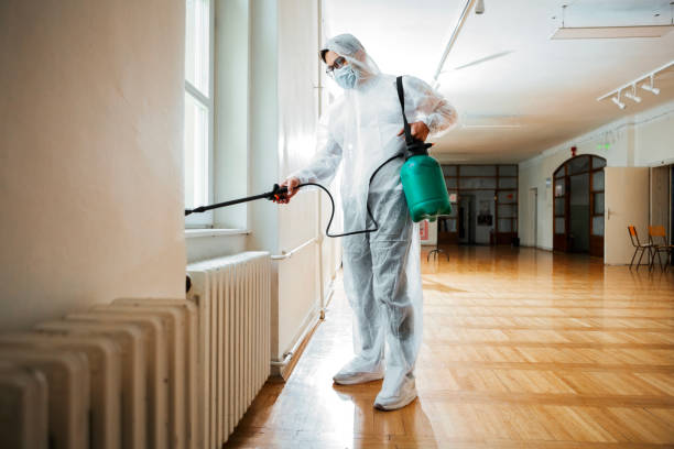 Best Pest Control for Homes  in Navesink, NJ