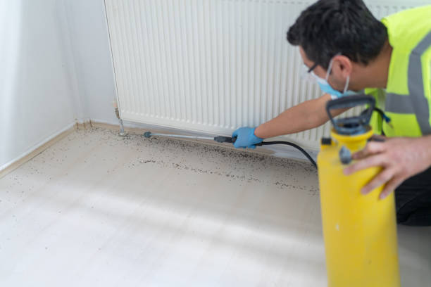 Best Bed Bug Extermination  in Navesink, NJ
